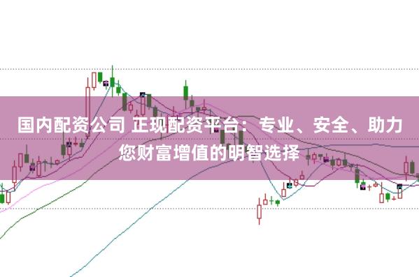国内配资公司 正现配资平台：专业、安全、助力您财富增值的明智选择