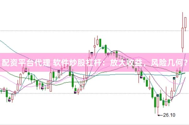 配资平台代理 软件炒股杠杆：放大收益，风险几何？