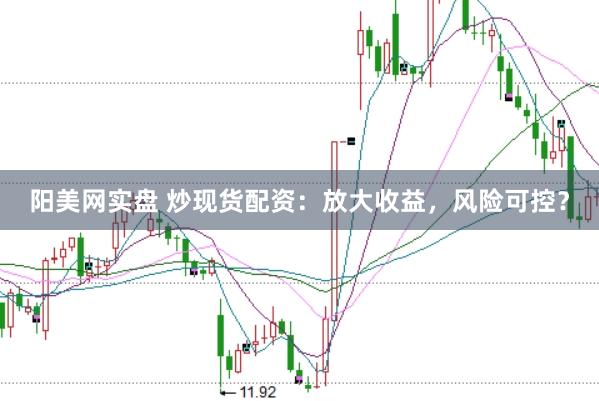 阳美网实盘 炒现货配资：放大收益，风险可控？