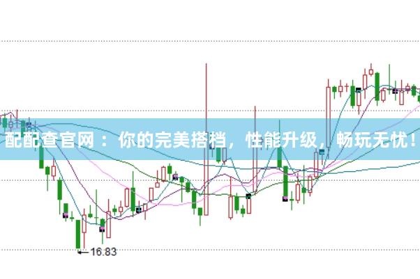 配配查官网 ：你的完美搭档，性能升级，畅玩无忧！
