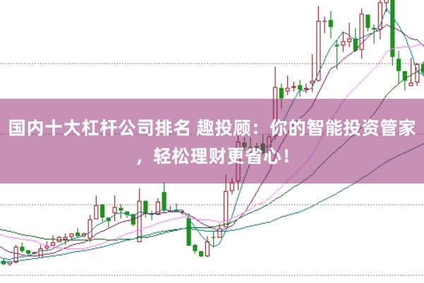 国内十大杠杆公司排名 趣投顾：你的智能投资管家，轻松理财更省心！