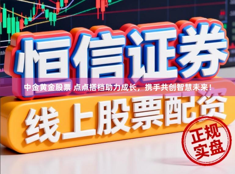 中金黄金股票 点点搭档助力成长，携手共创智慧未来！