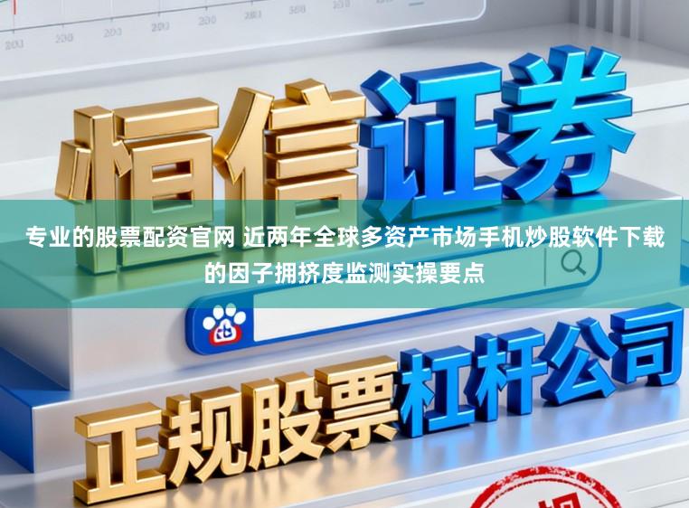 专业的股票配资官网 近两年全球多资产市场手机炒股软件下载的因子拥挤度监测实操要点