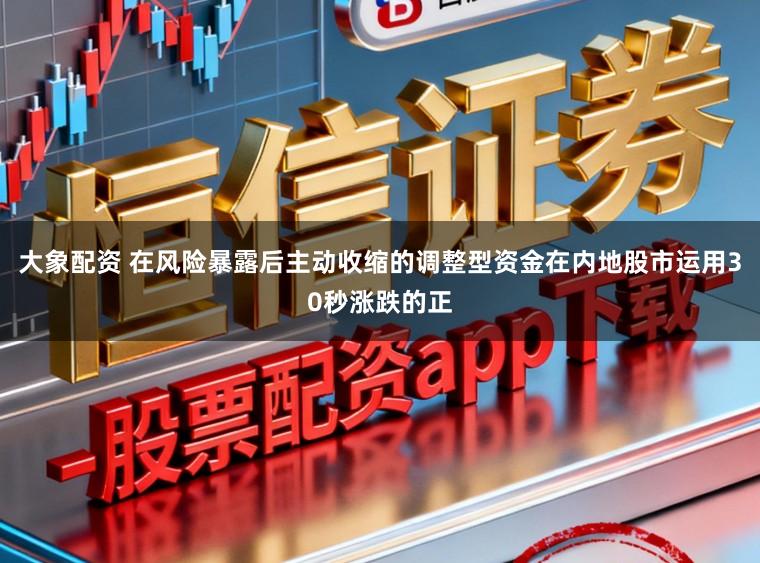 大象配资 在风险暴露后主动收缩的调整型资金在内地股市运用30秒涨跌的正